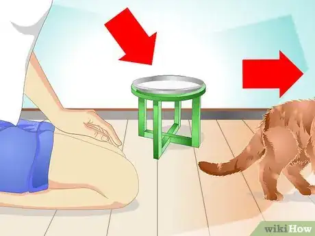 Image titled Teach a Cat to "High Five" Step 23